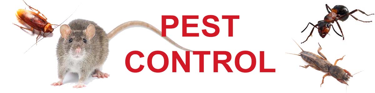 Parrish Florida Pest Control